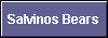  Salvinos Bears 