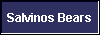  Salvinos Bears 